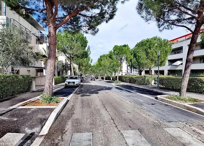 Le Cosy Montpellierain T3 Avec Parking