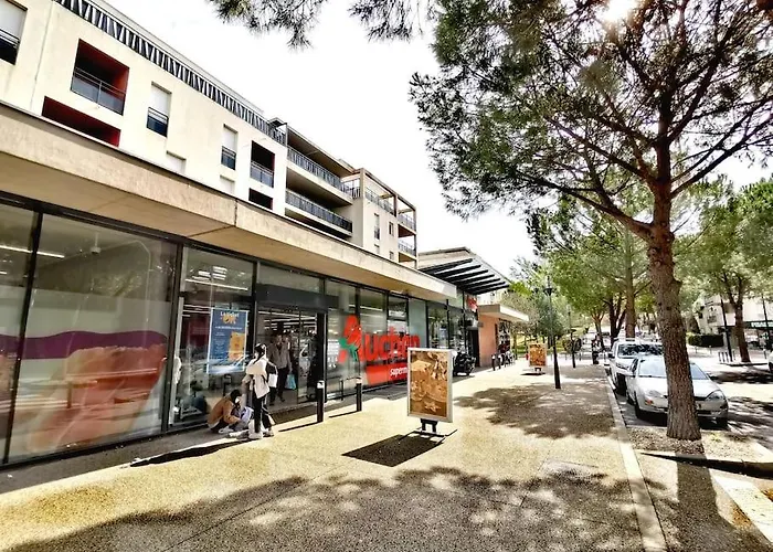 Le Cosy Montpellierain T3 Avec Parking